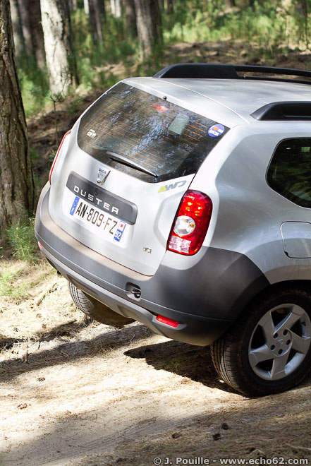 Фото Рено Дастер в лесу, на бездорожье (30)